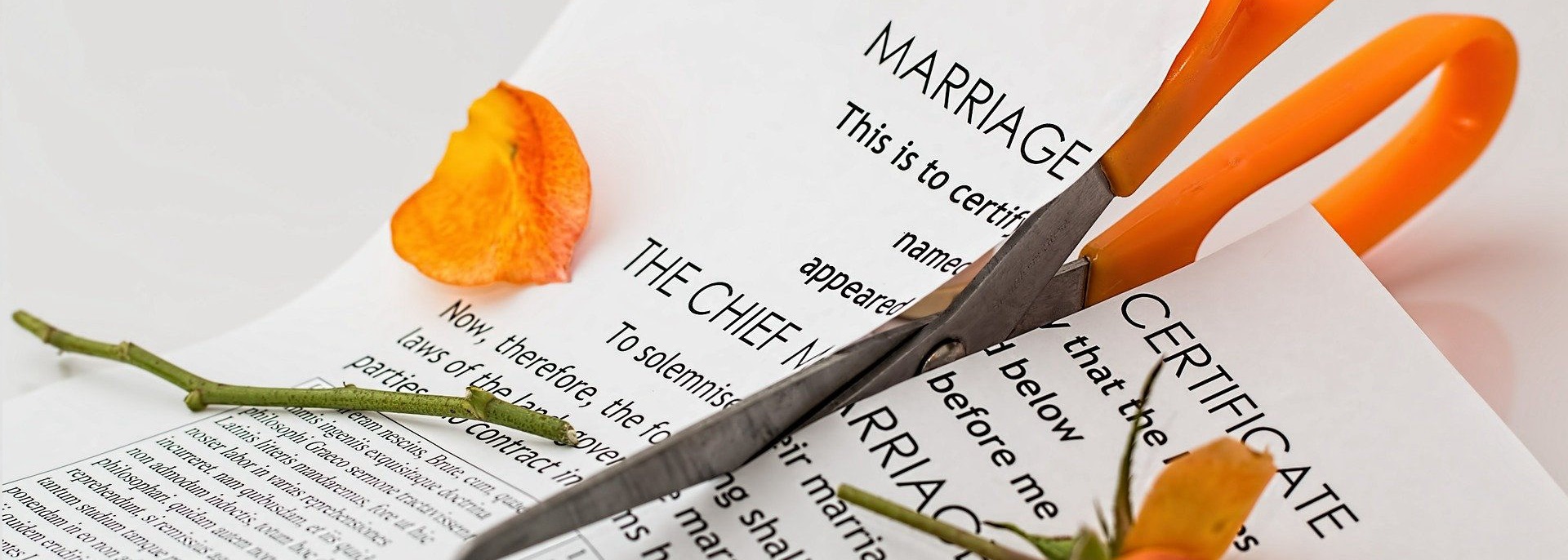 divorceblog